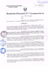 Vista preliminar de documento R.D. Nº 224.pdf