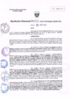 Vista preliminar de documento R.D. Nº 226.pdf
