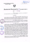 Vista preliminar de documento R.D. Nº 230.pdf