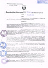 Vista preliminar de documento R.D. Nº 245.pdf