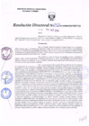 Vista preliminar de documento R.D. Nº 252.pdf