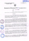Vista preliminar de documento R.D. Nº 254.pdf