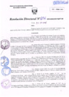 Vista preliminar de documento R.D. Nº 256.pdf
