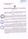 Vista preliminar de documento R.D. Nº 262.pdf