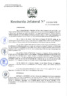 Vista preliminar de documento Resolución Jefatural N°212-2021-INEI