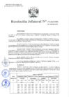 Vista preliminar de documento Resolución Jefatural N°171-2021-INEI