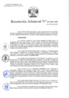 Vista preliminar de documento Resolución Jefatural N°167-2021-INEI