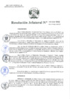 Vista preliminar de documento Resolución Jefatural N°165-2021-INEI