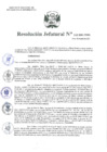 Vista preliminar de documento Resolución Jefatural N°142-2021-INEI