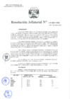 Vista preliminar de documento Resolución Jefatural N°119-2021-INEI