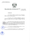 Vista preliminar de documento Resolución Jefatural N°107-2021-INEI