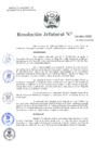 Vista preliminar de documento Resolución Jefatural N°103-2021-INEI