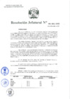 Vista preliminar de documento Resolución Jefatural N°91-2021-INEI