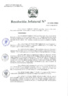 Vista preliminar de documento Resolución Jefatural N°101-2021-INEI