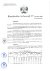 Vista preliminar de documento Resolución Jefatural N°8-2021-INEI