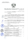 Vista preliminar de documento Resolución Jefatural N°11-2021-INEI