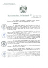Vista preliminar de documento Resolución Jefatural N°238-2020-INEI