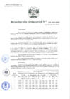 Vista preliminar de documento Resolución Jefatural N°232-2020-INEI