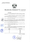 Vista preliminar de documento Resolución Jefatural N°224-2020-INEI