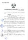Vista preliminar de documento Resolución Jefatural N°221-2020-INEI