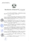 Vista preliminar de documento Resolución Jefatural N°209-2020-INEI