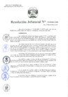 Vista preliminar de documento Resolución Jefatural N°170-2020-INEI