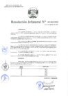 Vista preliminar de documento Resolución Jefatural N°165-2020-INEI