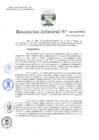 Vista preliminar de documento Resolución Jefatural N°156-2020-INEI