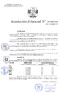 Vista preliminar de documento Resolución Jefatural N°125-2020-INEI