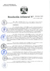 Vista preliminar de documento Resolución Jefatural N°36-2020-INEI
