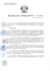 Vista preliminar de documento Resolución Jefatural N°411-2019-INEI
