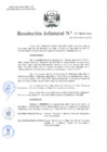 Vista preliminar de documento Resolución Jefatural N°377-2019-INEI