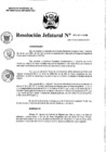 Vista preliminar de documento Resolución Jefatural N°294-2011-INEI