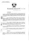 Vista preliminar de documento Resolución Jefatural N°123-2011-INEI