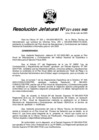 Vista preliminar de documento Resolución Jefatural N°221-2005-INEI
