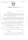 Vista preliminar de documento Resolución Jefatural N°91-2002-INEI