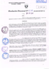 Vista preliminar de documento R.D. Nº 270.pdf