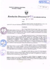 Vista preliminar de documento R.D. Nº 272.pdf