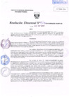 Vista preliminar de documento R.D. Nº 274.pdf