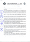 Vista preliminar de documento RD_233_2020