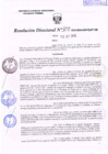Vista preliminar de documento R.D. Nº 308.pdf