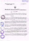 Vista preliminar de documento R.D. Nº 310.pdf