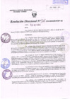 Vista preliminar de documento R.D. Nº 311.pdf