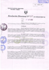Vista preliminar de documento R.D. Nº 314.pdf