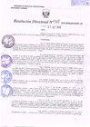 Vista preliminar de documento R.D. Nº 318.pdf