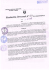 Vista preliminar de documento R.D. Nº 324.pdf