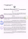 Vista preliminar de documento R.D. Nº 325.pdf
