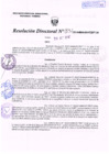 Vista preliminar de documento R.D. Nº 331.pdf