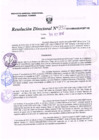 Vista preliminar de documento R.D. Nº 332.pdf