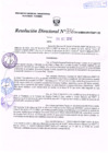 Vista preliminar de documento R.D. Nº 336.pdf